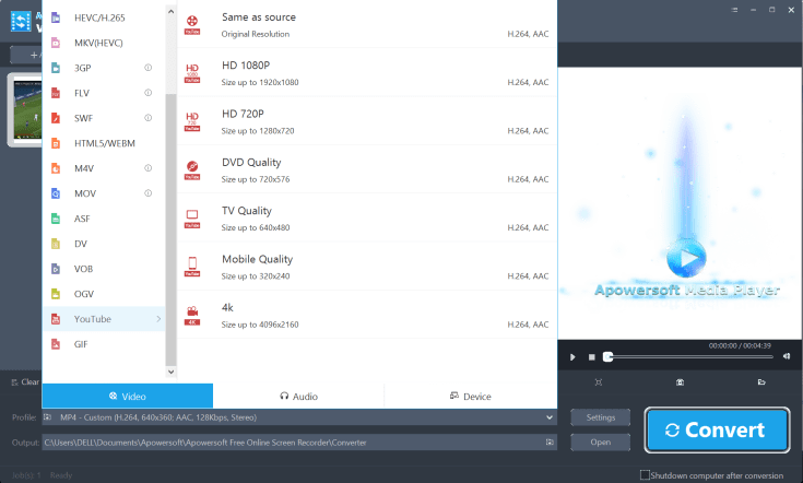 AceThinker Output format options
