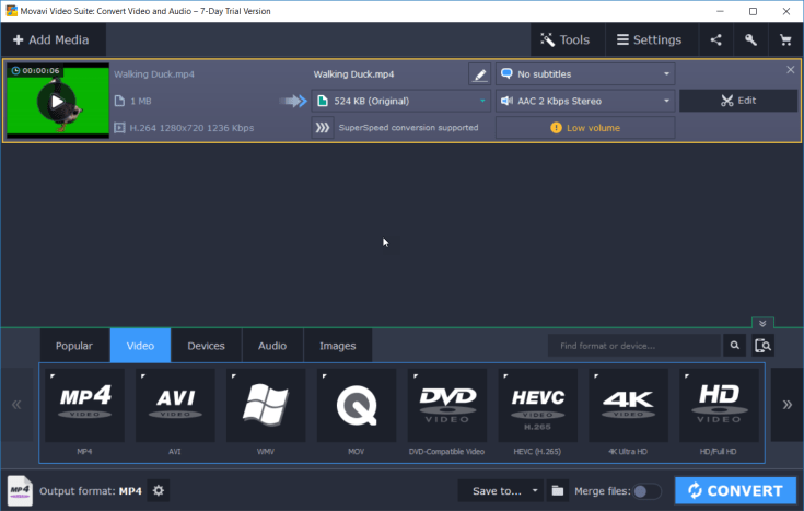 Movavi Video Converter