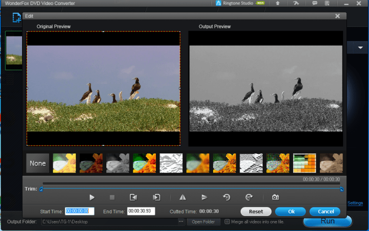 Wonderfox DVD Converter Video Editor.png
