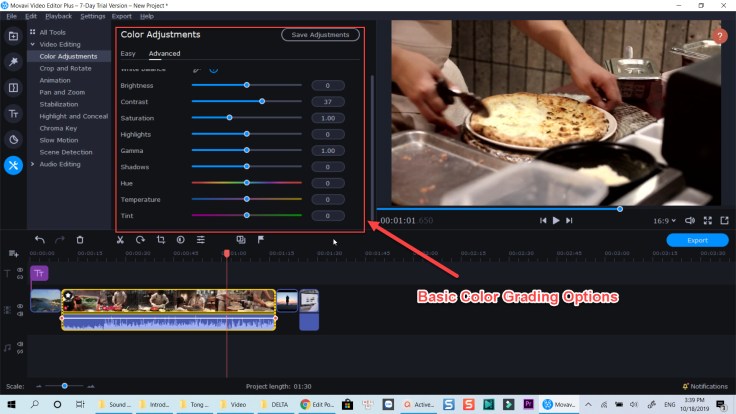 Movavi video editor plus 2020 Color Grading Tool